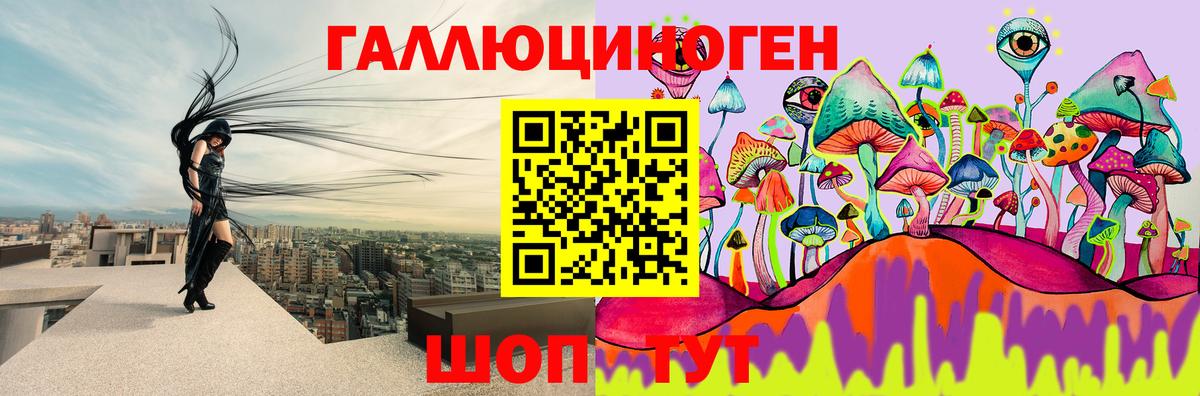 купить  сайты  Псилоцибиновые грибы Psilocybine cubensis  Вход с VPN  Анапа 